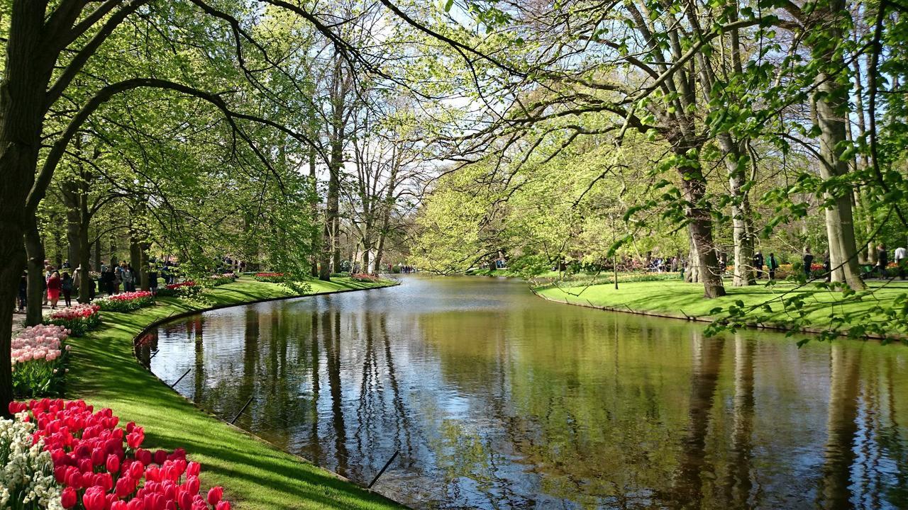 Boutique Suites Lisse - Keukenhof Екстериор снимка